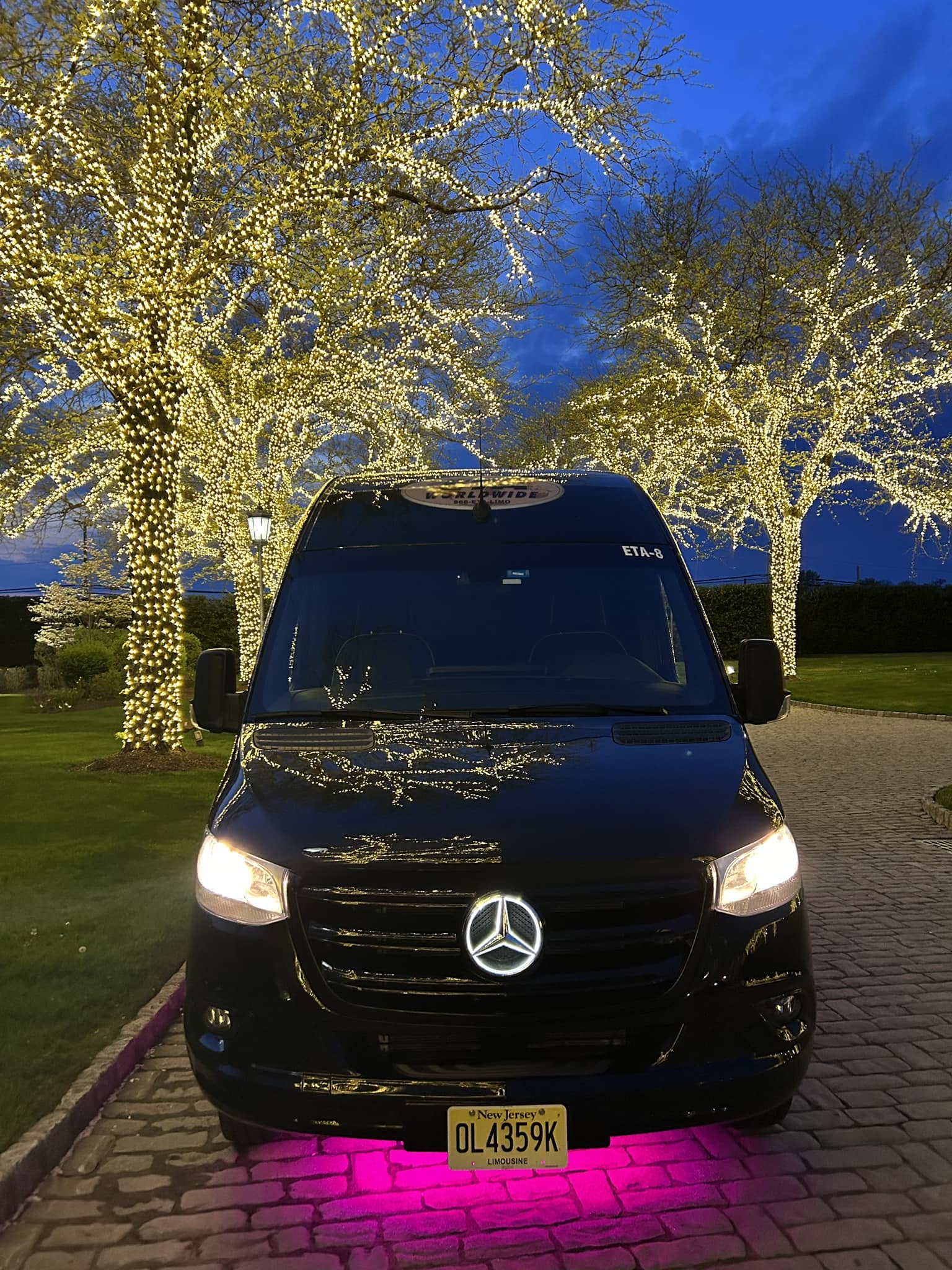 party bus transportation for christmas lights